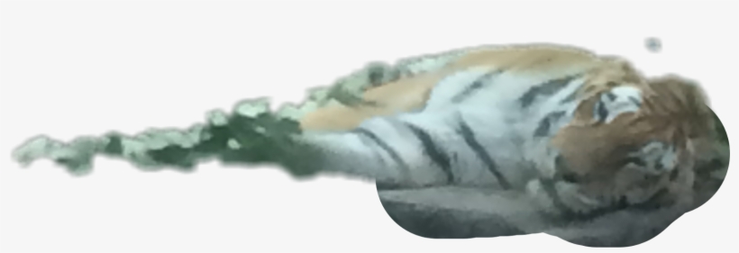 Hand, transparent png