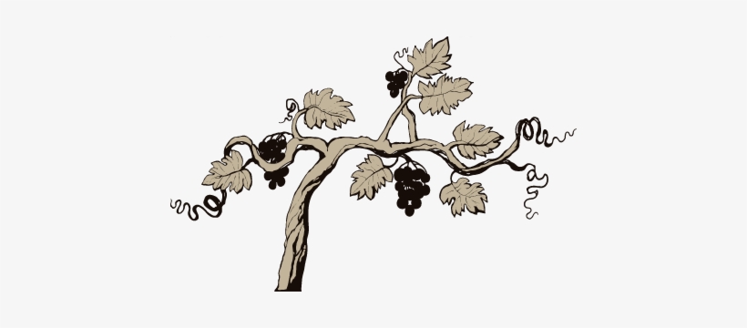 Vines - Portable Network Graphics, transparent png