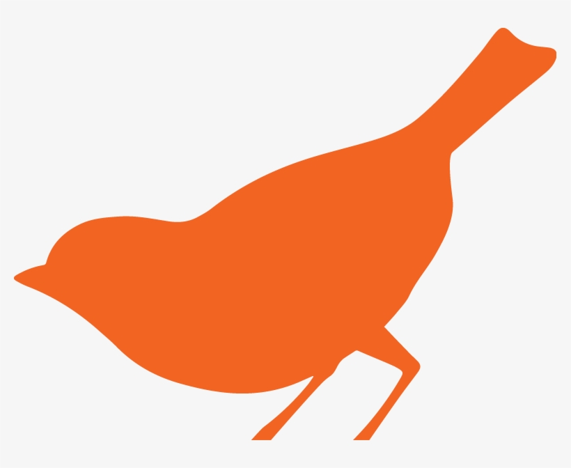 Chicken Png, transparent png