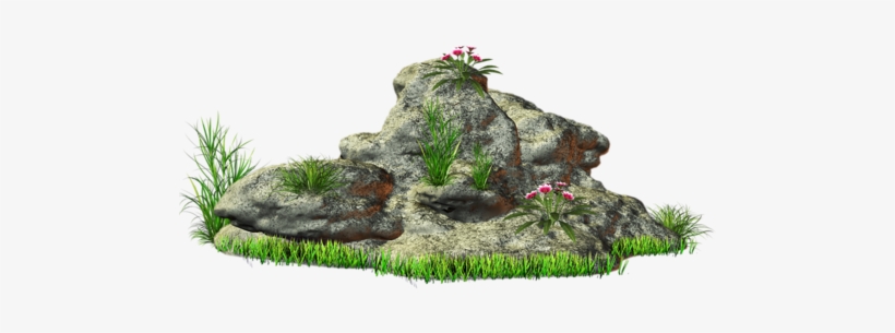 Feuilles Branches Arbres - Stone Clip Art, transparent png