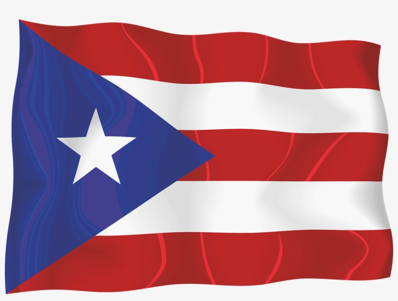 The Doctor's Bill, transparent png