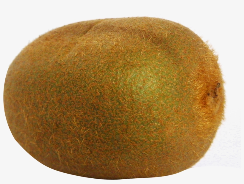 Kiwi Fruit Png File - Portable Network Graphics, transparent png