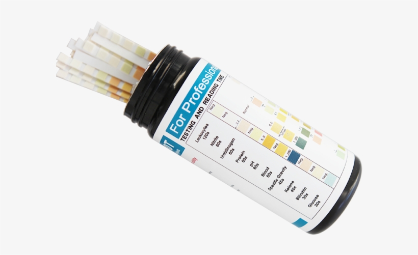 Paint Brush, transparent png