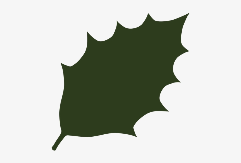 Holly Leaf Silhouette At Getdrawings - Dark Green Leaves Clipart, transparent png