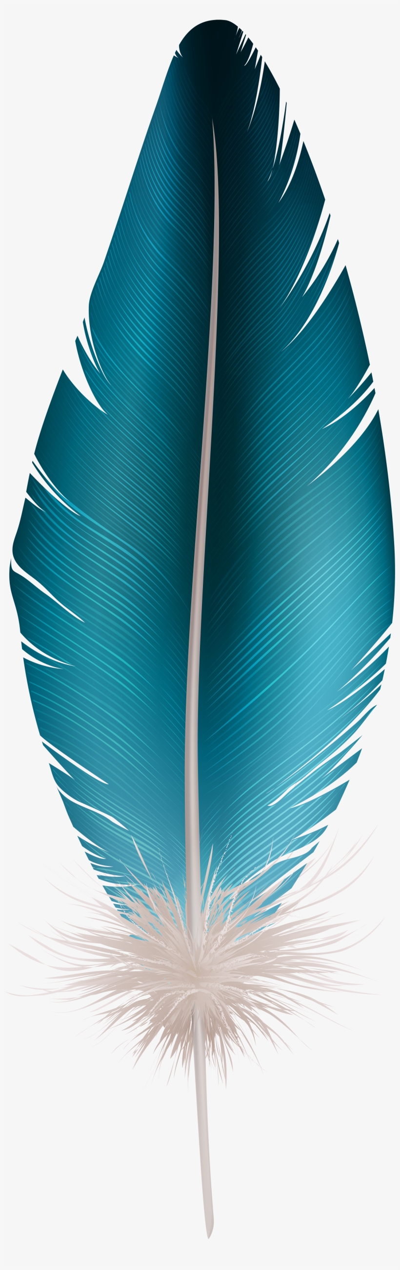 Feather Blue Clip Art Image Gallery Yopriceville High, transparent png