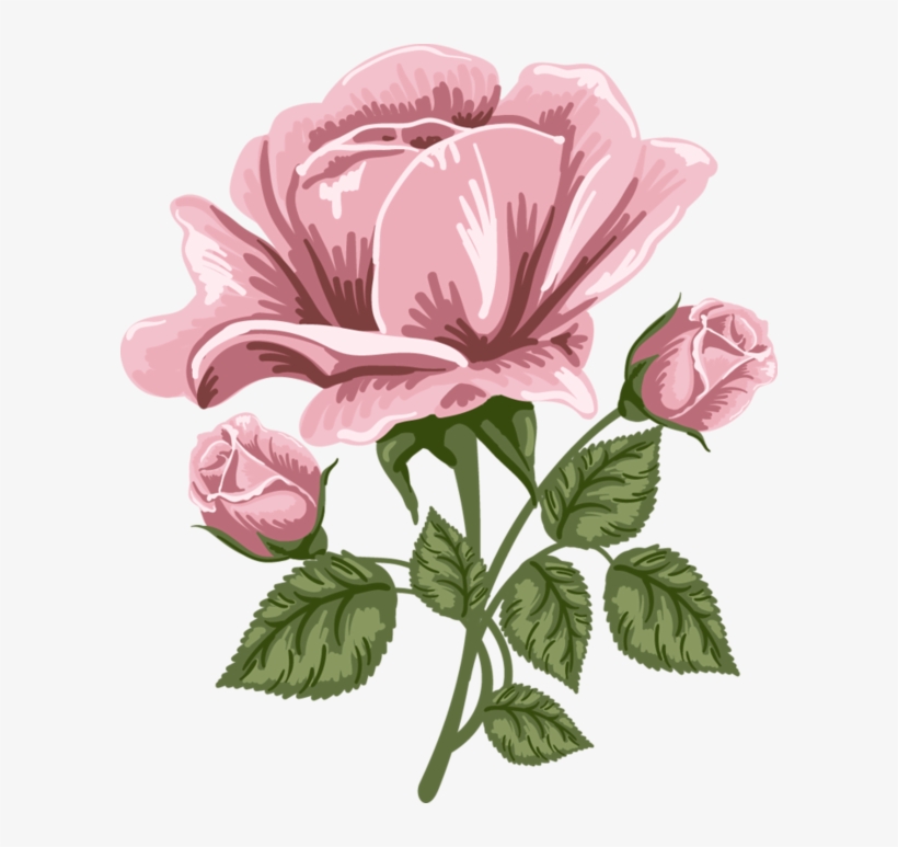 Pink Rose Art Png Picture - Pink Rose Art Png, transparent png