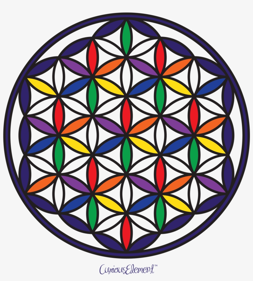 Flower Of Life - Flor De La Vida, transparent png