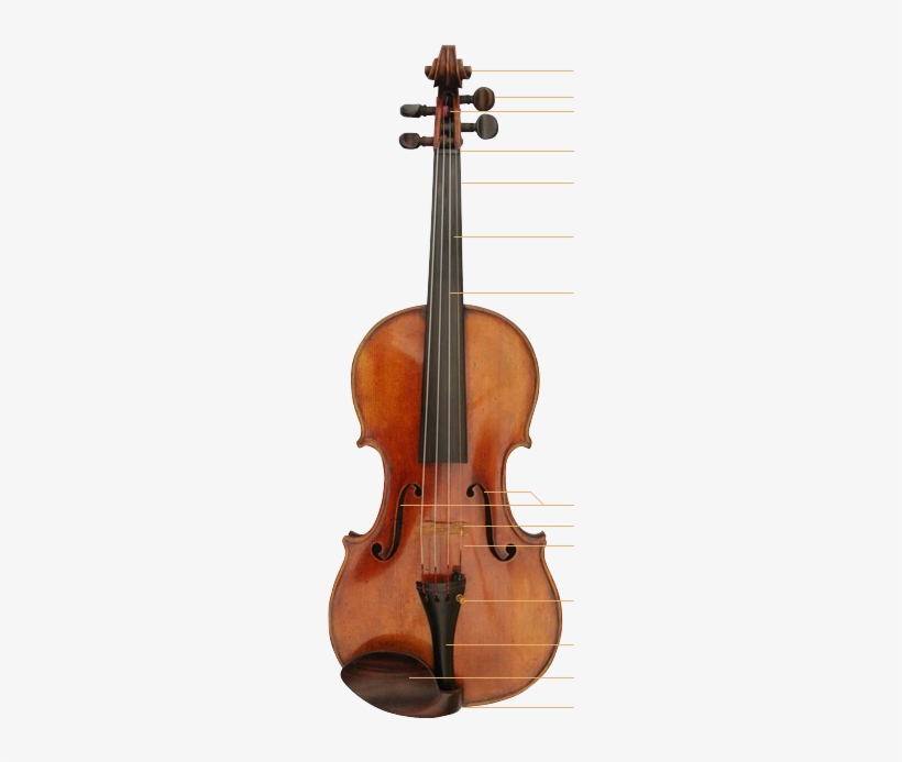/default/violin - Pietro Guarneri Mantua 1690, transparent png