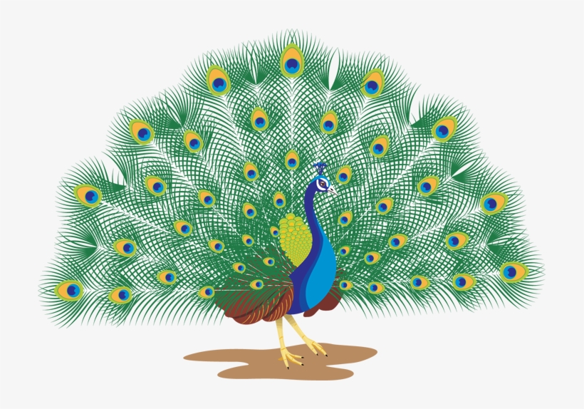 Go To Image - Peacock Images With Names, transparent png