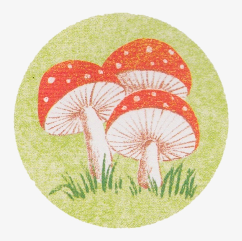 Celebrate Picture Books Picture Book Review Round Mushrooms - Portable Network Graphics, transparent png