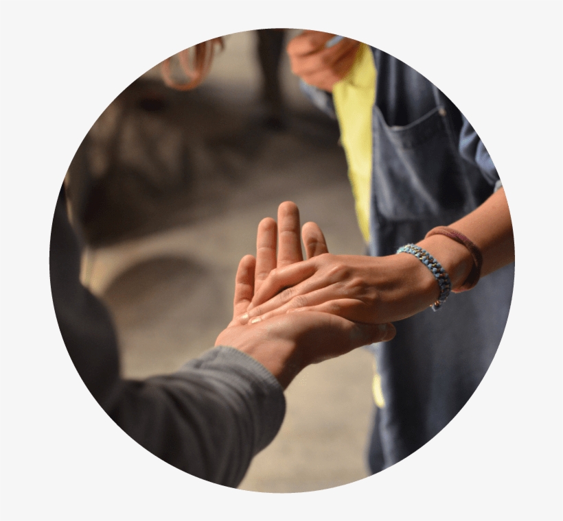 700 - Le Storie Nutrono - Mariella Bombardieri,livia Cadei, transparent png