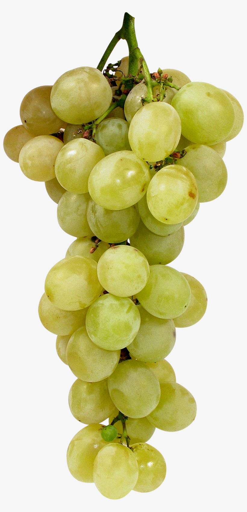 Green Grape Png Image - Green Grape Transparent, transparent png