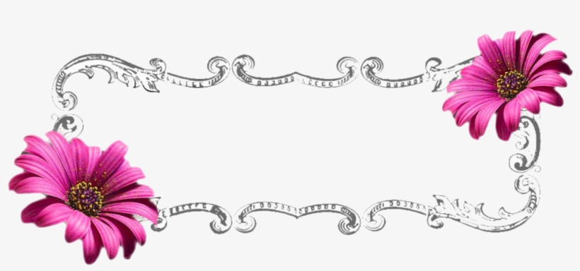 Floral Banner Png By Life As Me On Deviantart Clipart - Daisy, transparent png