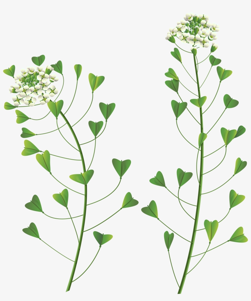 Clipart Stock Png Clip Art Image Gallery Yopriceville, transparent png