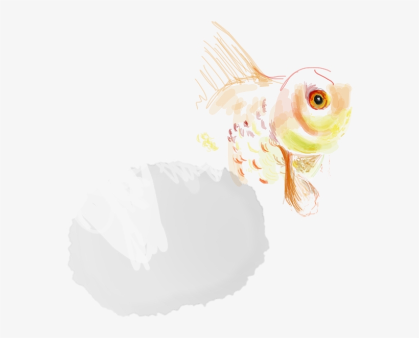 Goldfish, transparent png