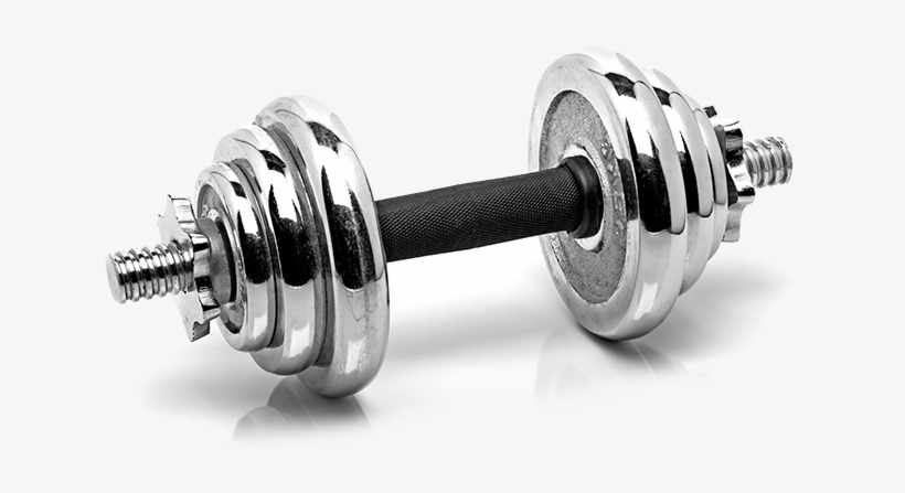 Gym Png Image Hd Photo - Weight Gym, transparent png