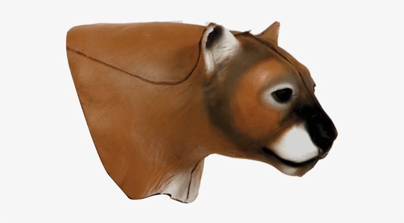 Mountain Lion Head - Mountain Lion Delta Mckenzie, transparent png