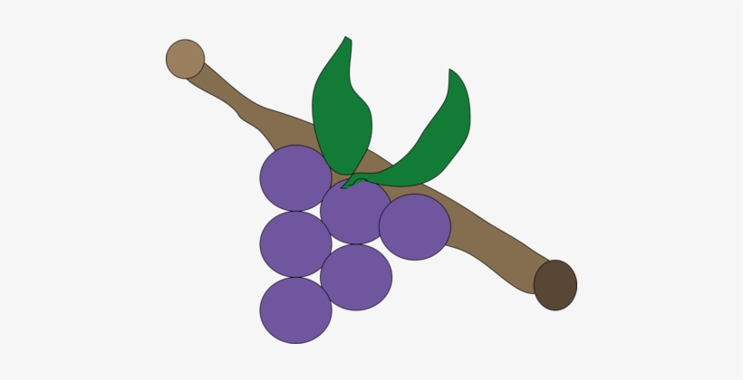 Grapevines Oregon Grape Grape Leaves Drawing - Uva Lila, transparent png