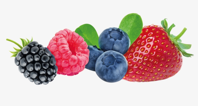 Svg Freeuse Stock Creamy Farmer S Yogurt Fruits Hollandia - Dolce Gusto - Bevanda Fragola Par 8 - Fabbri, transparent png