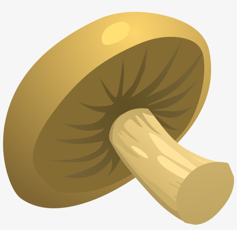 Food Mushroom Icons Png - Mushroom Clipart, transparent png