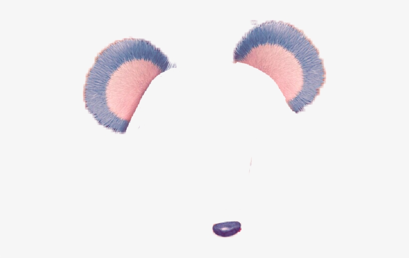 Snapchat Filtro Snap Panda Cara - Koala, transparent png