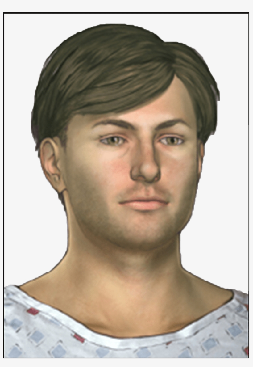 Case Presentation - Visual Arts, transparent png