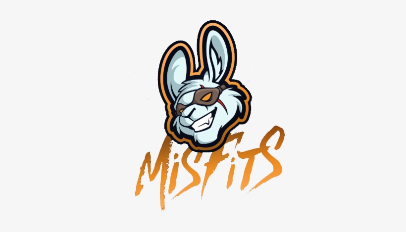 Reinforce No Longer A Part Of Team Misfits Overwatch - Misfits Team Logo, transparent png