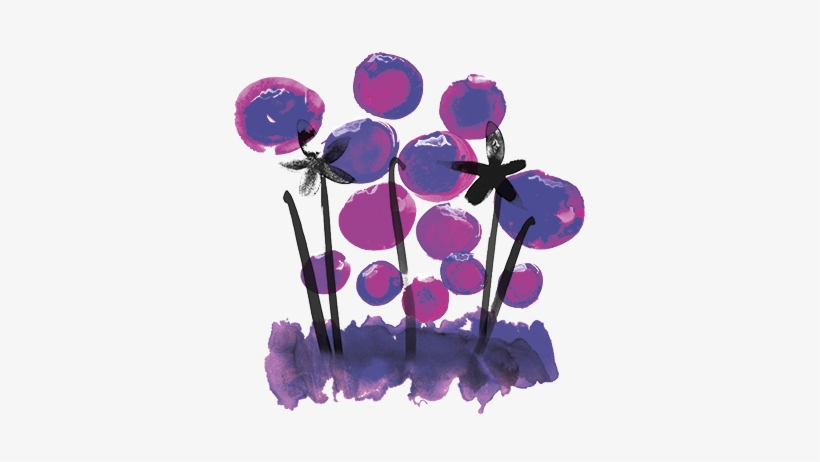Poetry - Kallo Blueberry & Vanilla Wholegrain Low Fat Rice, transparent png