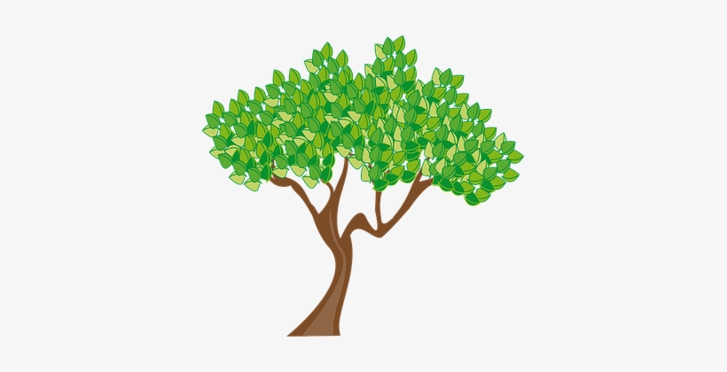 Season Summer Tree Leaves Green Trunk Wood - Cartoon Tree Transparent Background, transparent png