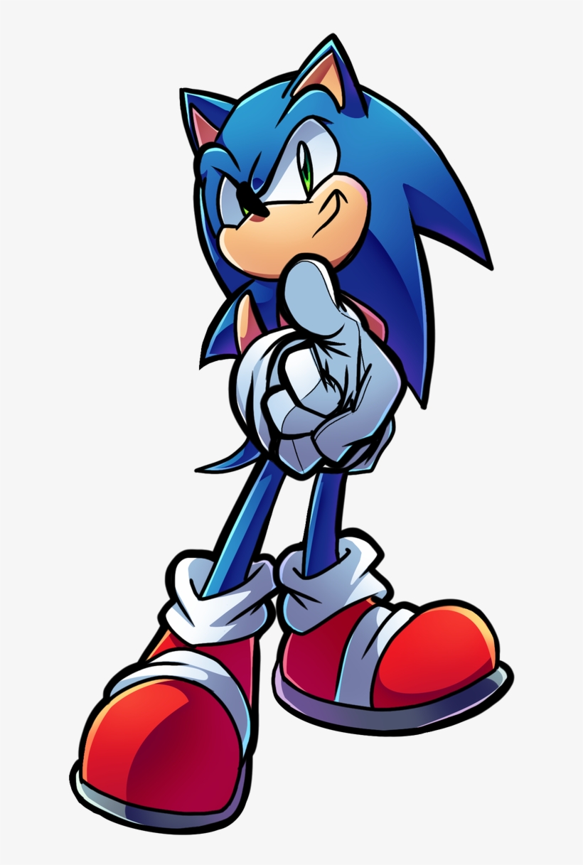 Examples Posted Are The Level Of Quality We're Aiming - Tempest The Dolphine X Sonic, transparent png