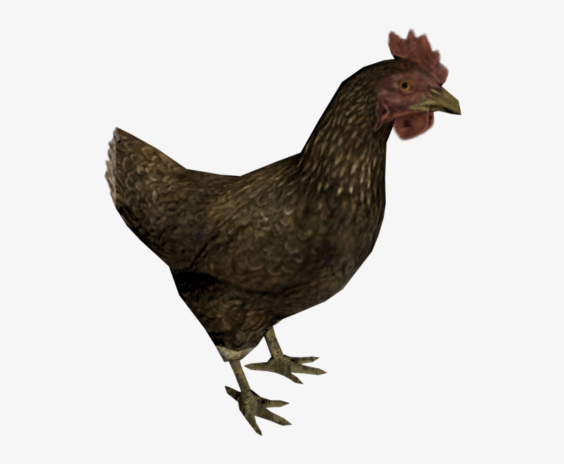 Download Zip Archive - Skyrim Chicken Png, transparent png