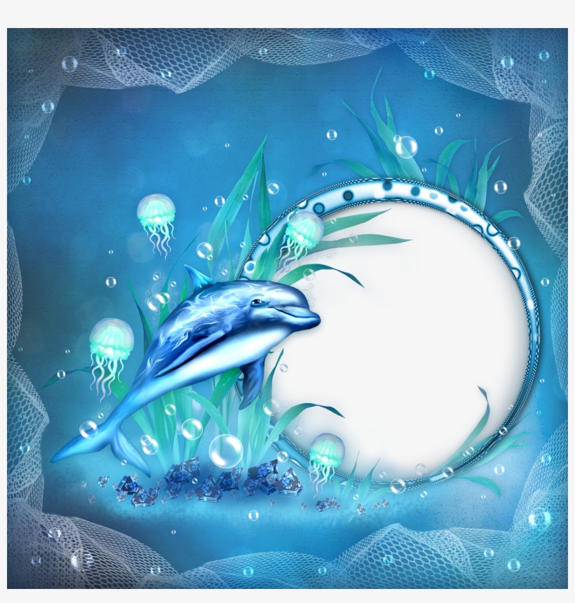 Dolphin Frame, transparent png