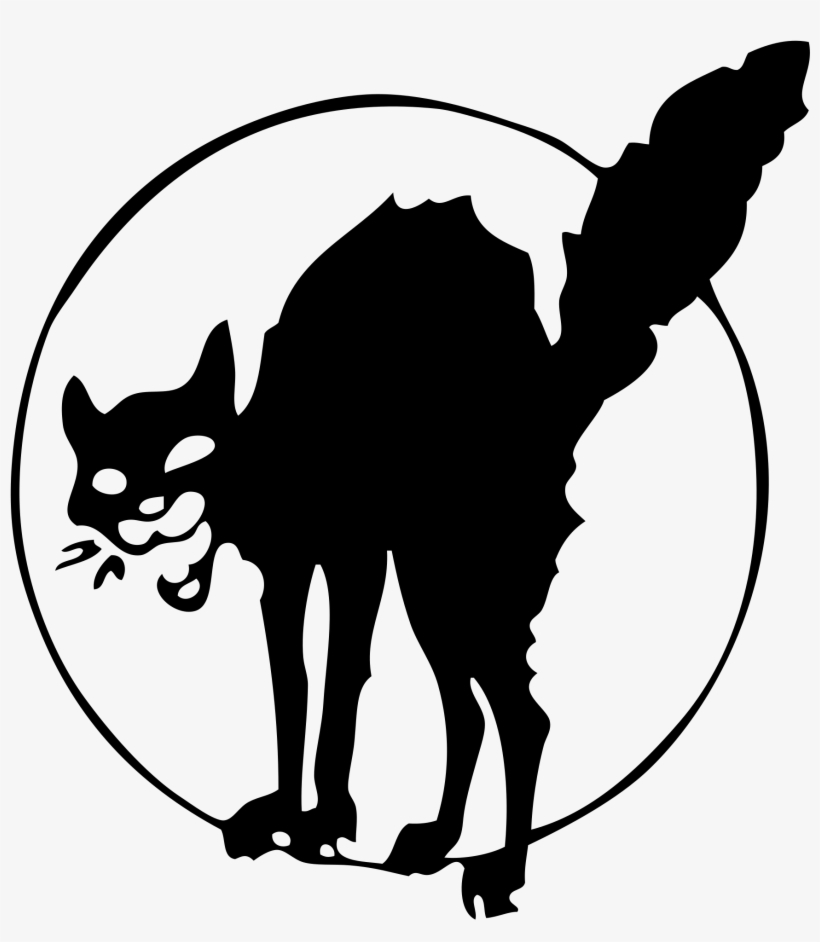 Anarchist Black Cat, transparent png