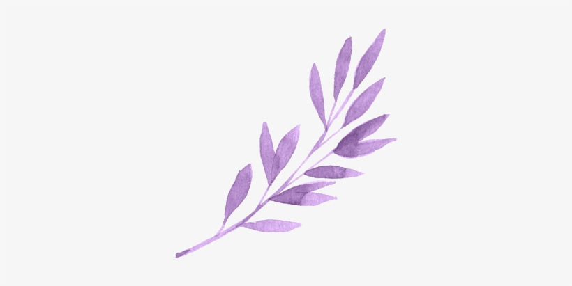 15 Aesthetic Png Transparent For Free Download On Mbtskoudsalg, transparent png