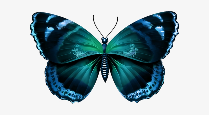 Blue Butterfly Png - Blue Butterfly Transparent, transparent png