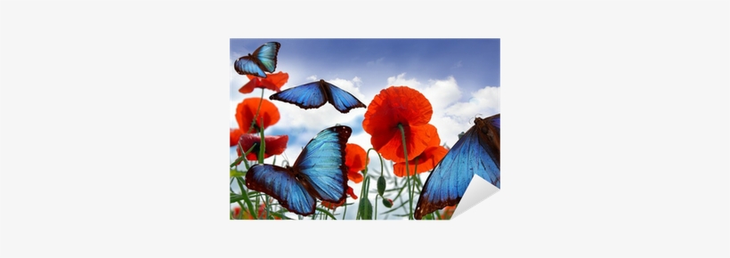 Blue Butterflies Flying Over A Field With Poppies Sticker - Farfalle Colorate Su Papaveri, transparent png