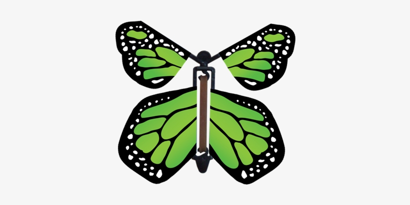 Go Green Wind Up Flying Butterfly - Greeting Card, transparent png