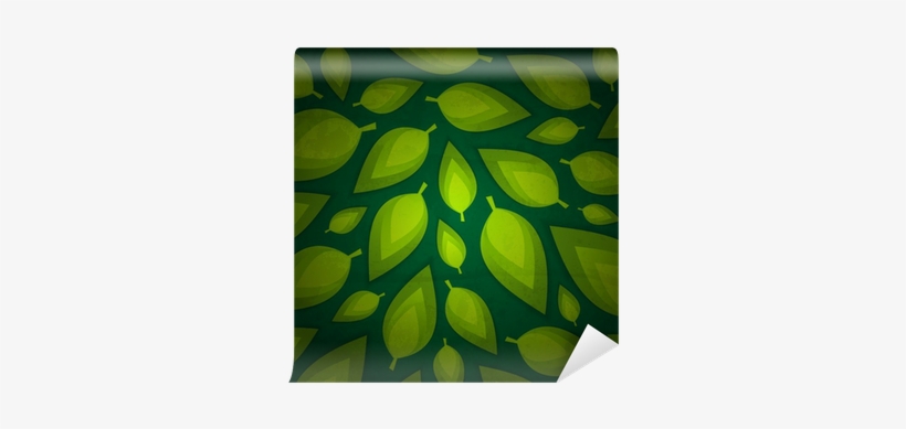 Leaf, transparent png