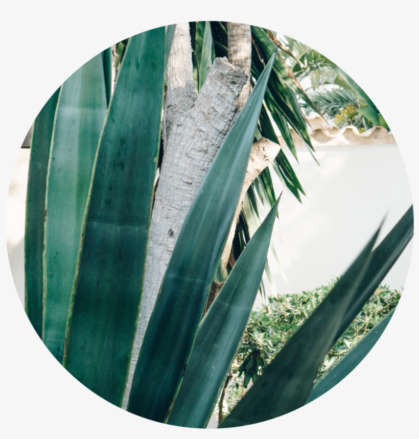 Circle5 - Photography, transparent png
