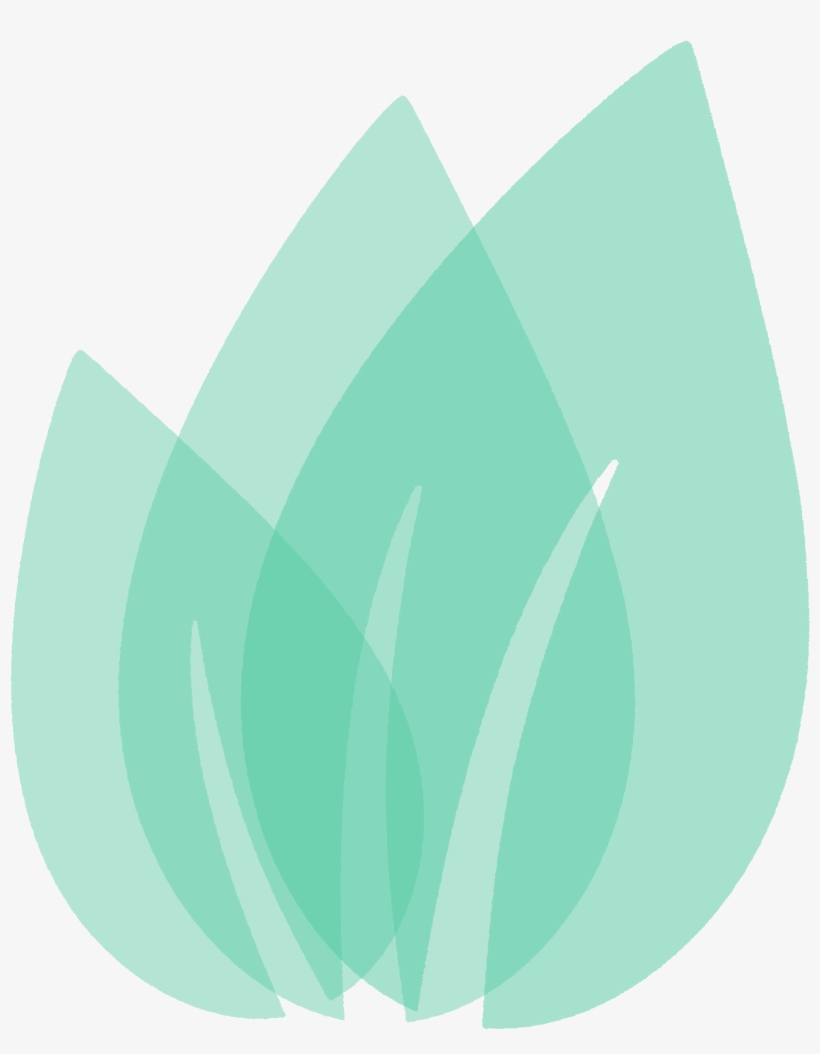 An Error Occurred - Green Leaf Logo Aqua, transparent png