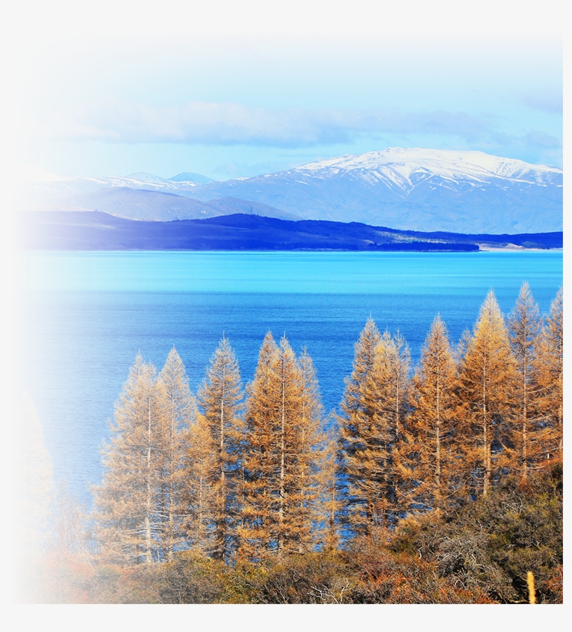 To Bring About Positive Genuine Customer Experience - Loch, transparent png