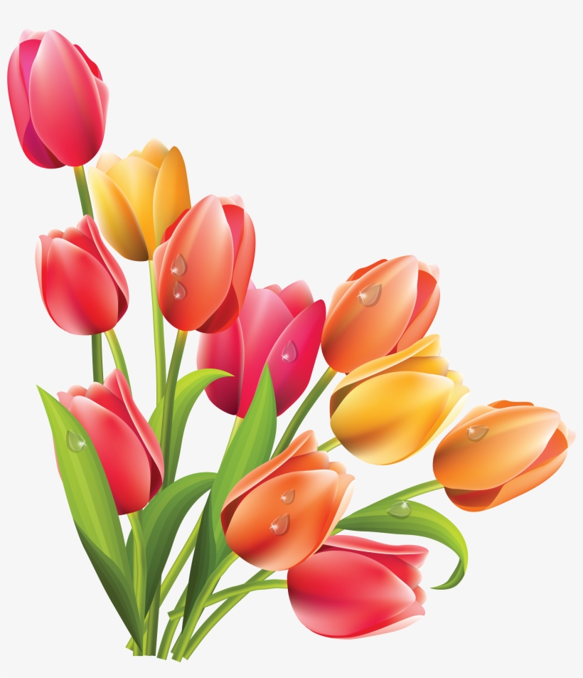 Tulip Clipart Bucket Flower - Spring Flowers Png, transparent png