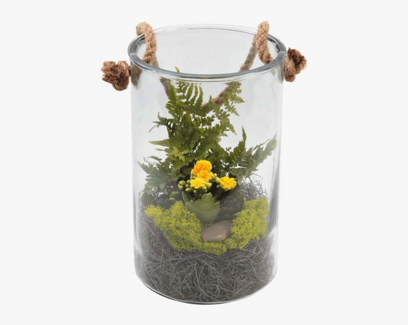 Rope Terrarium - Royer's Flowers & Gifts, transparent png