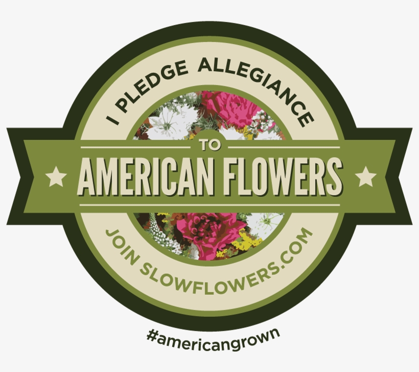 Slow Flowers - Five Star Movement, transparent png