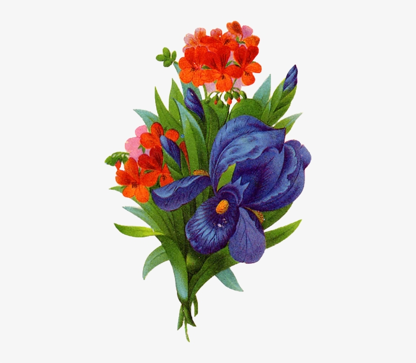 Paint Bouque Png Image - Thank You, Iris And Geranium Card, transparent png