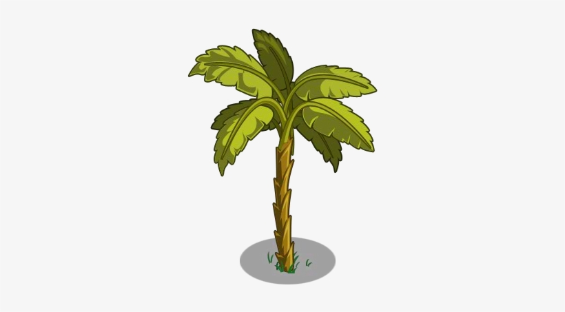 Cuban Banana Tree, transparent png
