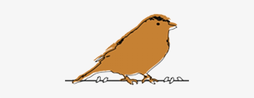 Giant Sparrow, transparent png