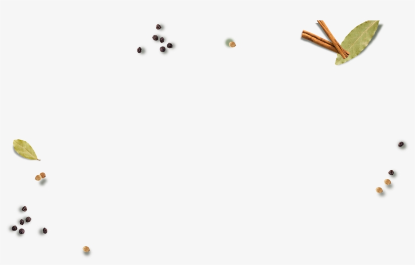 Bee, transparent png