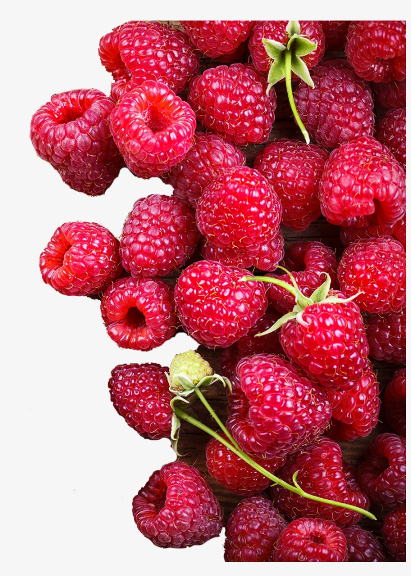 Wildebraam Berry Festival Background - Diet Diagnosis (dr Healthnut): Navigating The Maze, transparent png