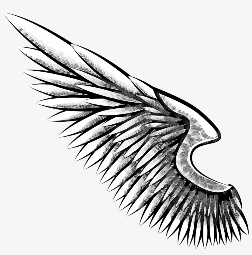 Eagle Wing Png Freeuse Download Alas De Aguila Dibujo 1000x1000 PNG